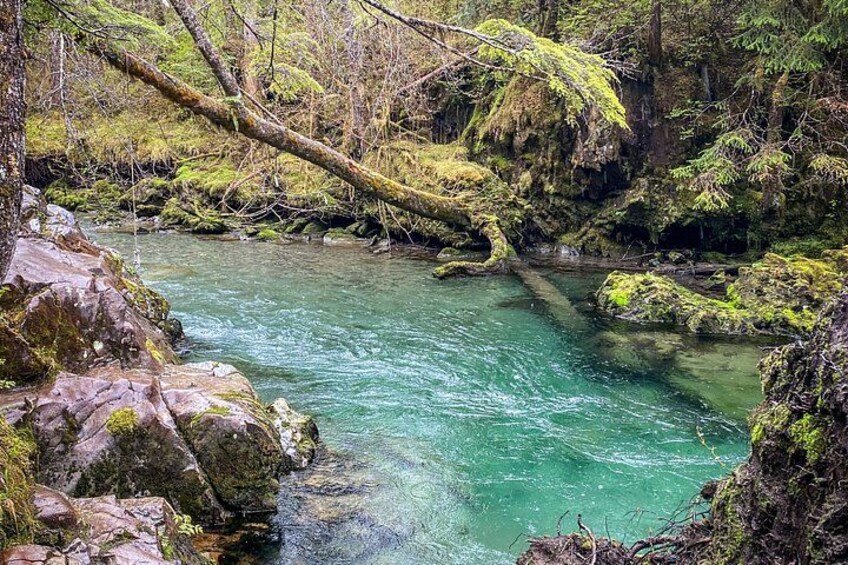 Private Guided Hiking Tours in Sitka, Alaska 4