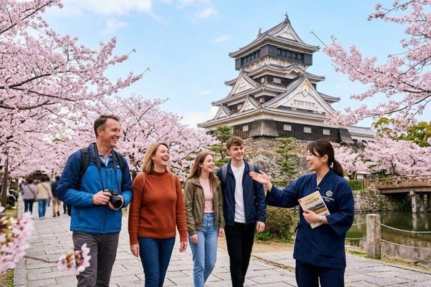 A group of people walking on a path with cherry blossoms, a traditional Japanese castle in the background. 1