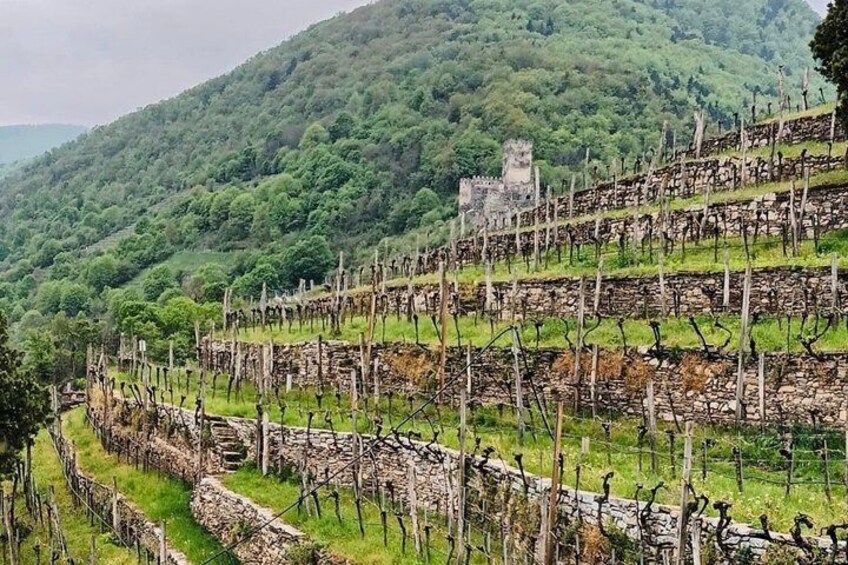 Wachau Valley Boat and Wine Private Day Experience from Vienna 1