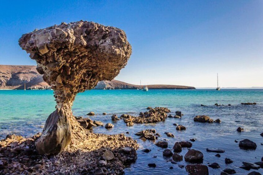 From Los Cabos: Balandra Beach + Todos Santos & La Paz 5