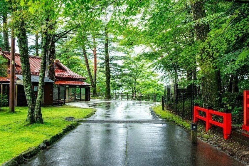 Private Nikko Nature Day Trip from Tokyo Lakes and Waterfalls 5