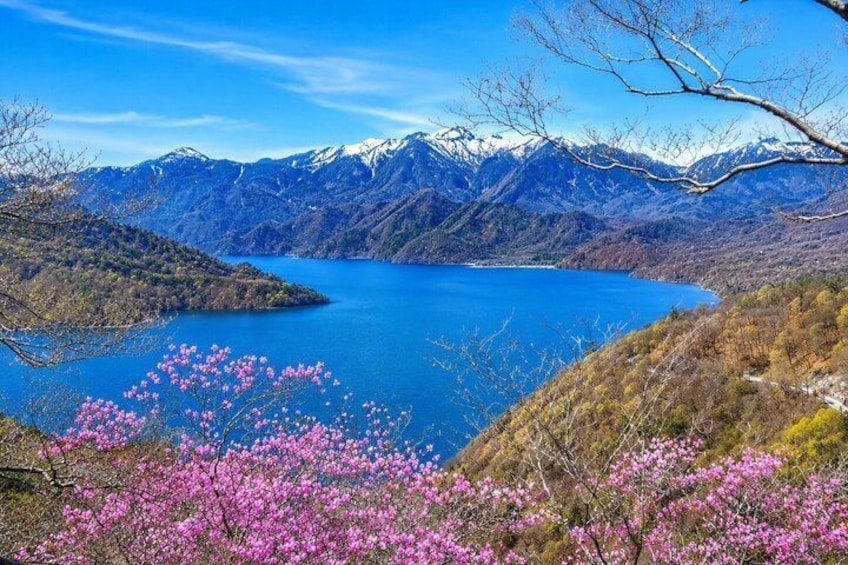 Private Nikko Nature Day Trip from Tokyo Lakes and Waterfalls 4