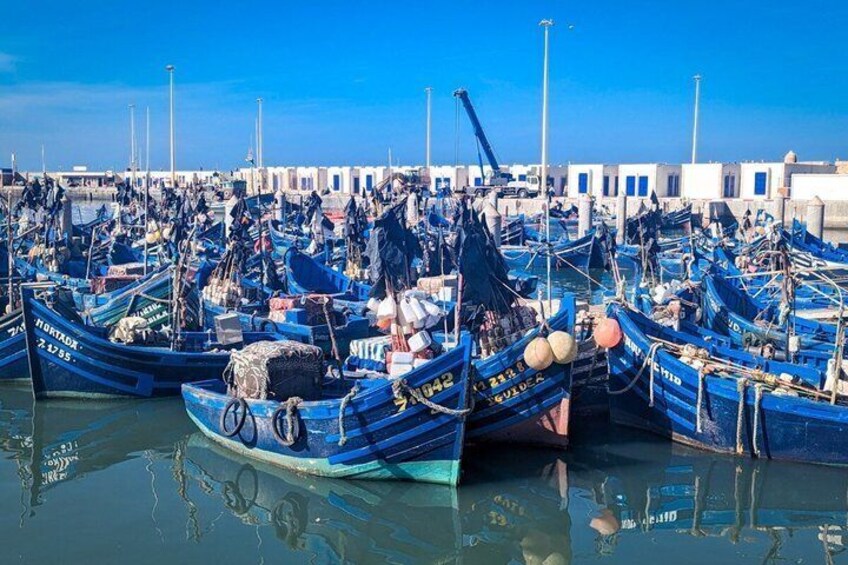 A harbor filled with blue fishing boats docked closely together. 4