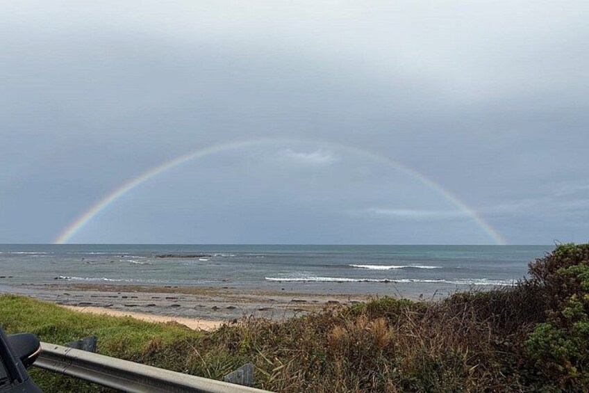 Private Great Ocean Road and 12 Apostles Tour from Melbourne 5