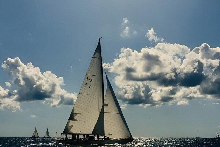 Whale Watching and Sailing Adventure in the Pelagos Sanctuary 4