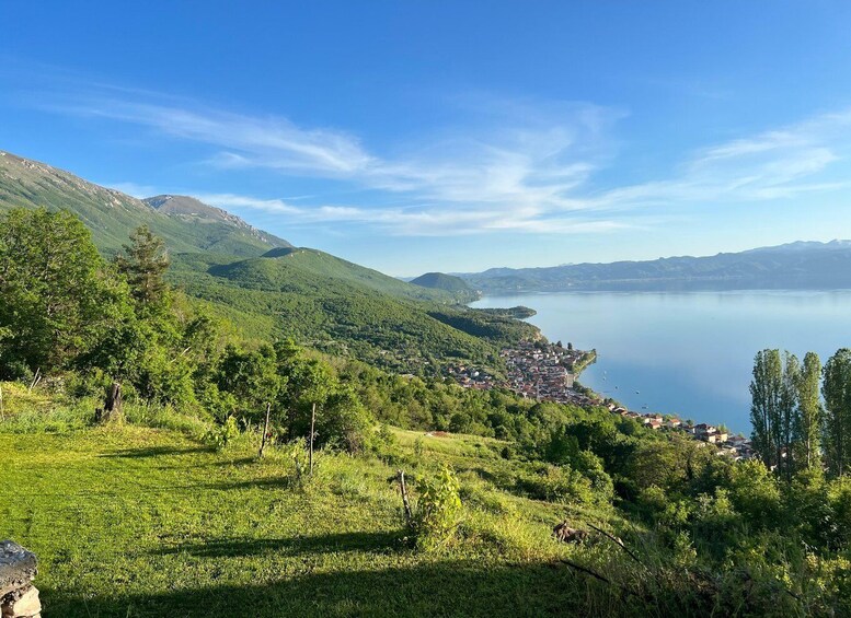 Picture 8 for Activity Galicica and Elsani: Macedonian evening with Lale Tours 5