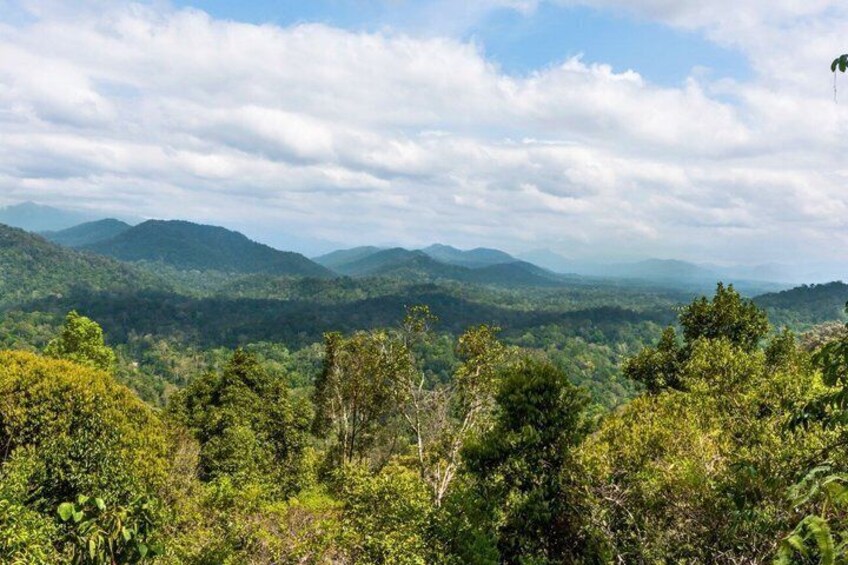 Private Taman Negara Overnight Jungle Trek with Cave Camping 2