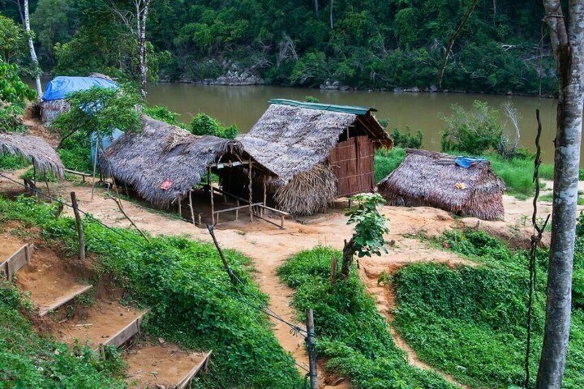 Private Taman Negara Overnight Jungle Trek with Cave Camping 5
