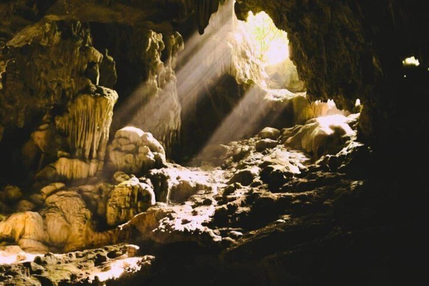 Private Taman Negara Overnight Jungle Trek with Cave Camping 1