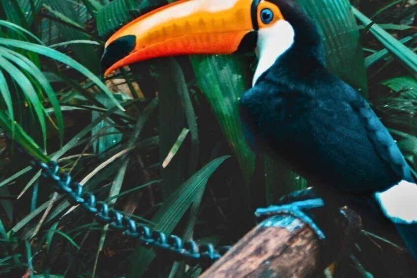 Private Taman Negara Overnight Jungle Trek with Cave Camping 4