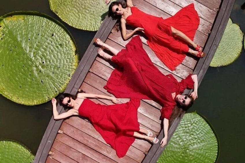 Phuket : Giant Water Lily Pond Photo, Old Town Option Drone Video 1
