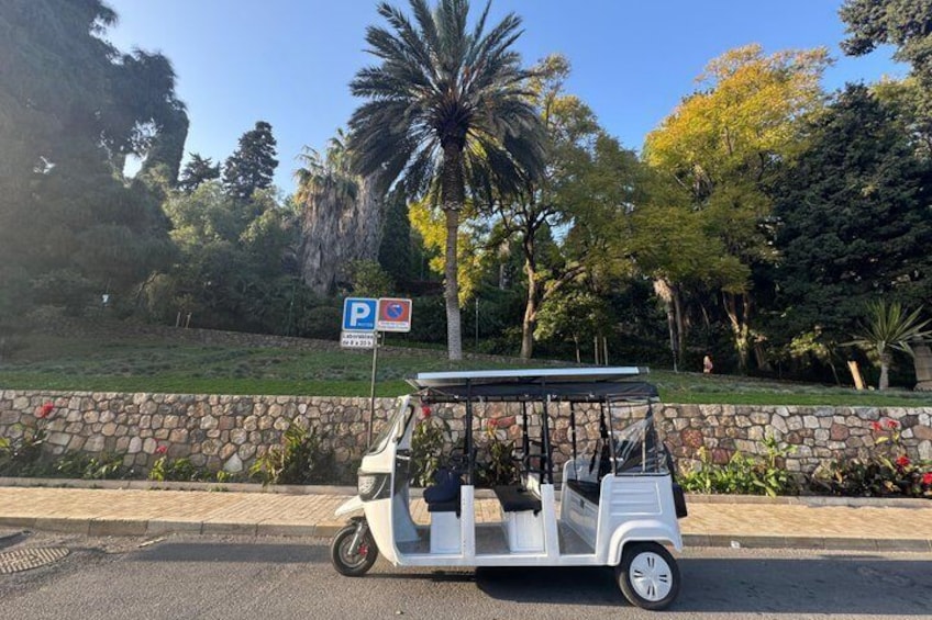Private Tour of Malaga by Electric Tuk Tuk 4