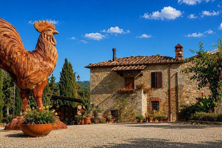 Castello di Brolio and Gaiole in Chianti eBike tour Virtual guided 5