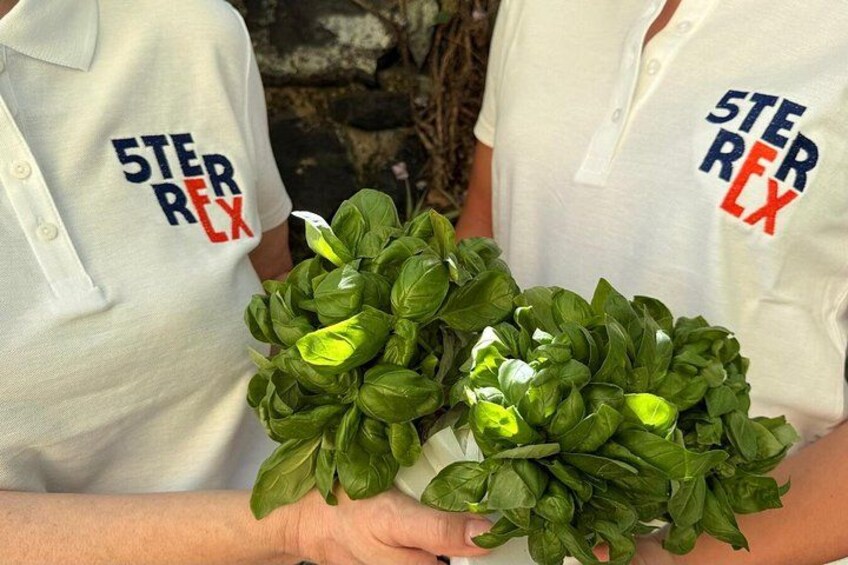 Cinque Terre, Authentic Pesto Cooking Class Wine Tasting 1