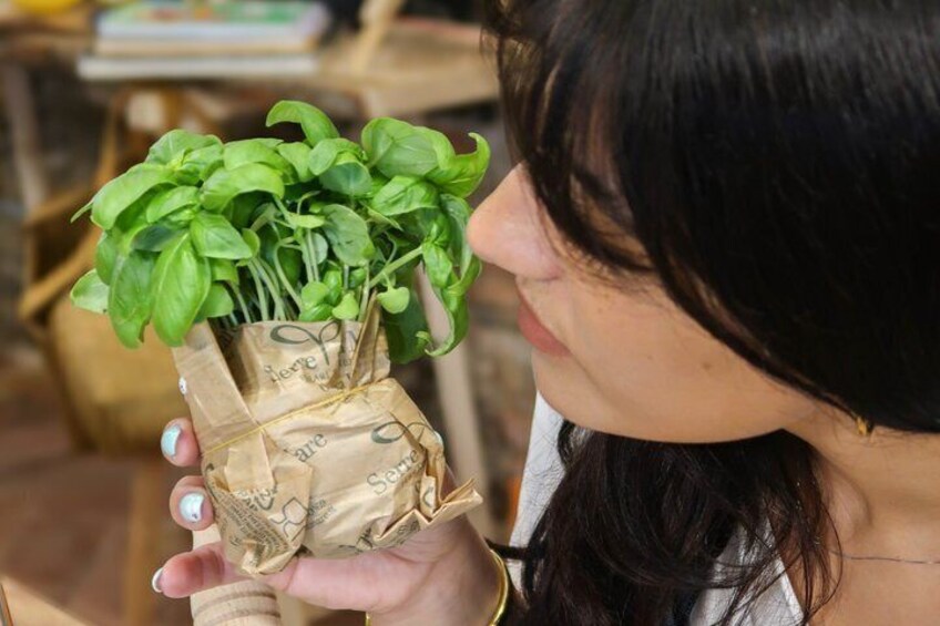 A person holding a potted basil plant wrapped in brown paper. 3