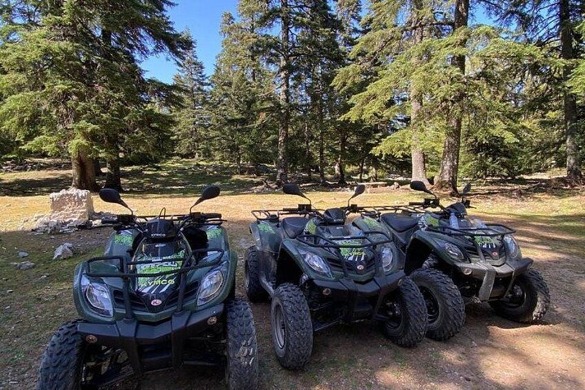 Three ATVs parked on a dirt path in a forested area. 5