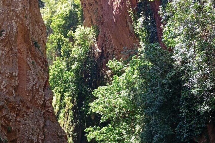 Akchour Waterfalls and God Bridge Guided Hike with Sancho 3