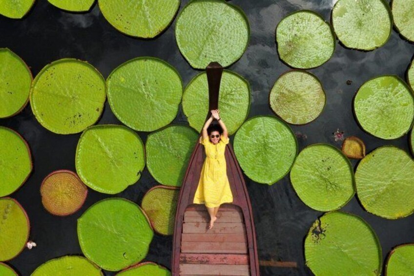 A person in a yellow dress sitting in a boat on a body of water surrounded by lily pads. 2