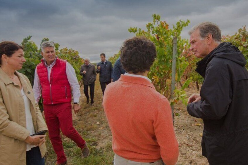 Premium Wine Tour and Wine Tasting in Aranda de Duero 1