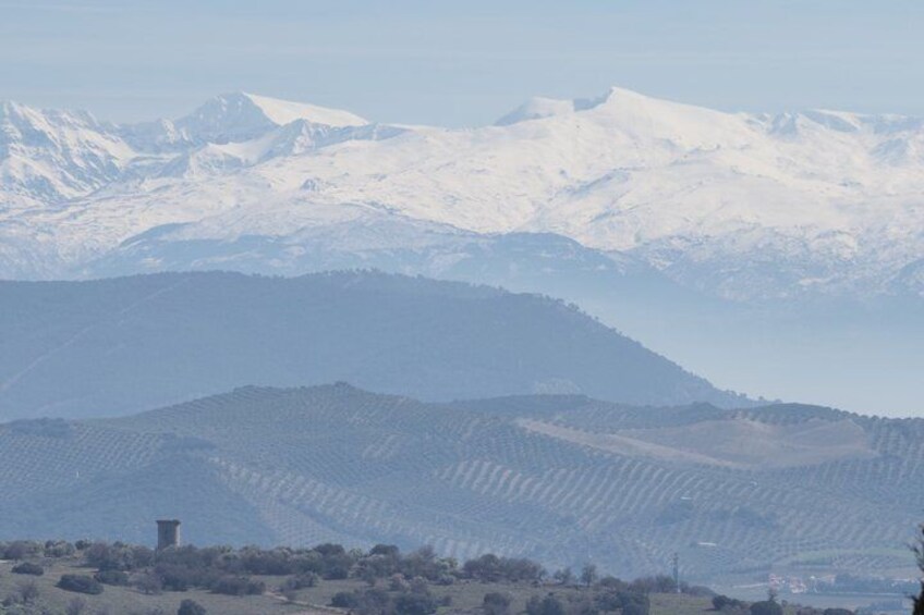 Excursion from Granada Forteza de la Mota and Alcala la Real 5