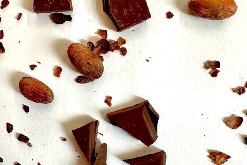 Pomegranate chocolate tasting from bean to bar 1