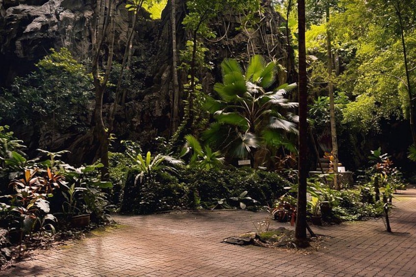 A paved pathway through a lush garden with various tropical plants and a rocky cliff in the background. 2