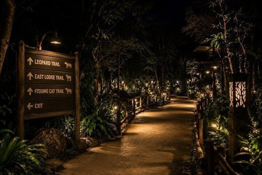 Singapore Night Safari with Tram Ride and Hotel Transfers 3