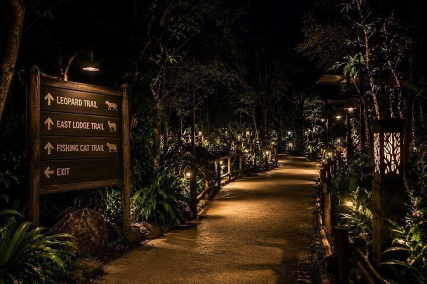 A nighttime pathway with directional signs for trails and an exit. 2