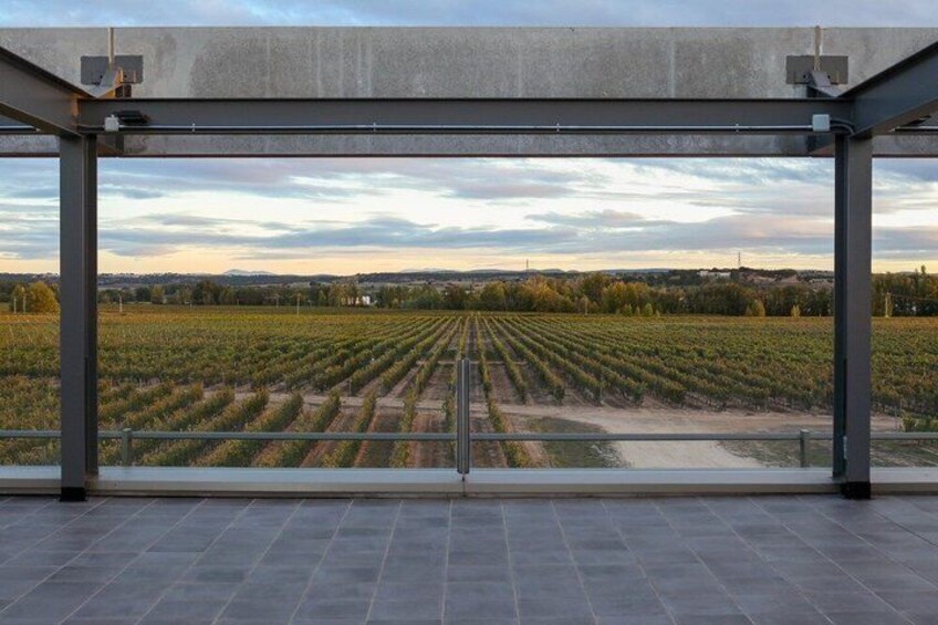 Wine Tasting Tour in Aranda de Duero 2