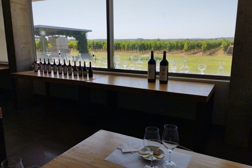 Wine Tasting Tour in Aranda de Duero 3