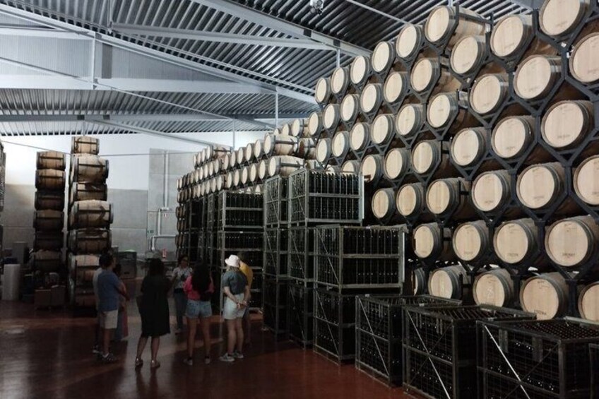 Wine Tasting Tour in Aranda de Duero 4