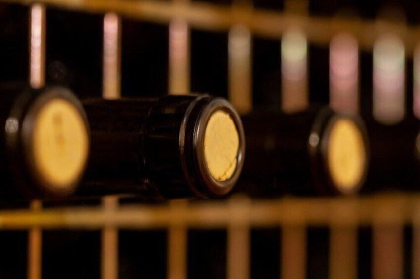 Wine Tasting Tour in Aranda de Duero 5