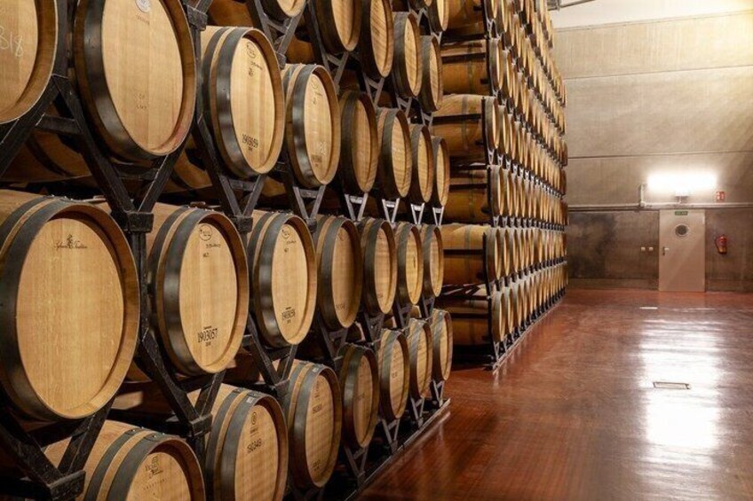 Wine Tasting Tour in Aranda de Duero 3