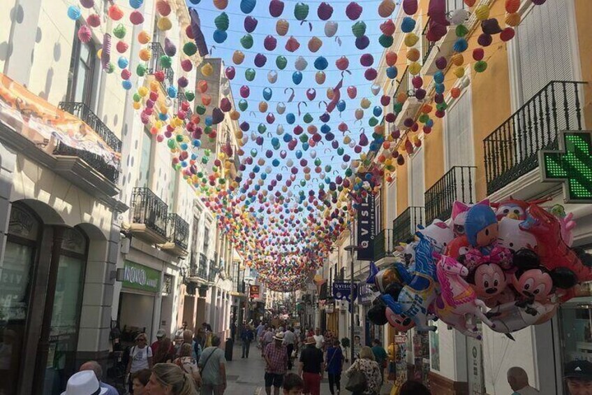 Explore Ronda and Setenil with Private Transportation 2