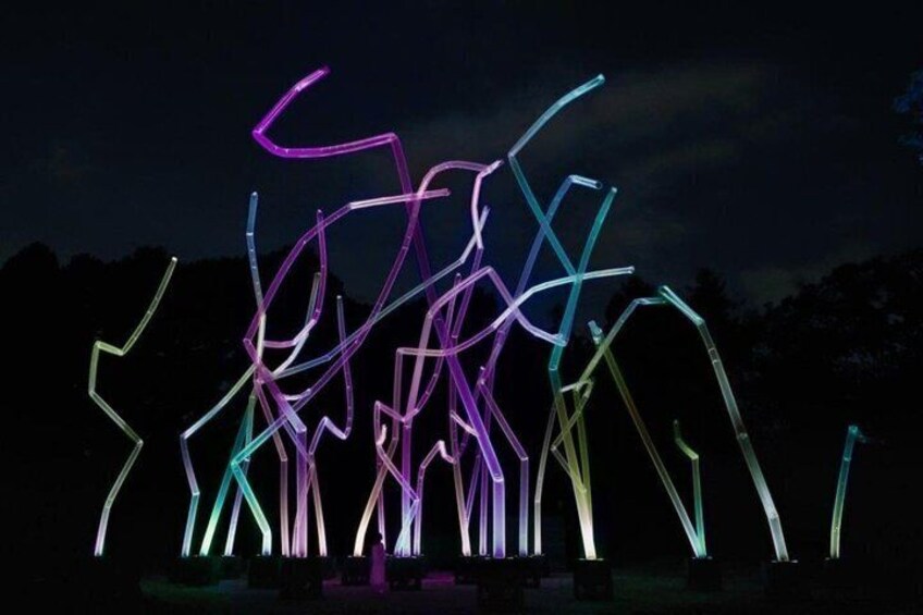 TeamLab Botanical Garden Osaka Interactive Light Art Ticket 5