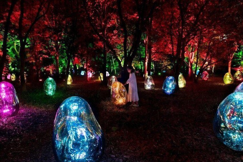 TeamLab Botanical Garden Osaka Interactive Light Art Ticket 1