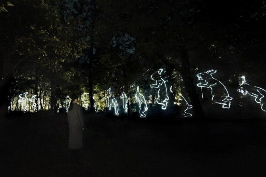 TeamLab Botanical Garden Osaka Interactive Light Art Ticket 3