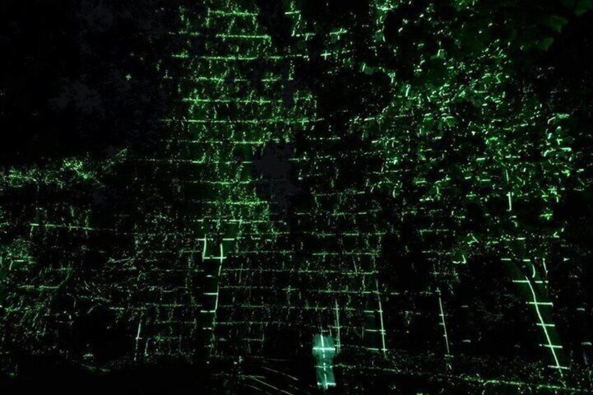 TeamLab Botanical Garden Osaka Interactive Light Art Ticket 4