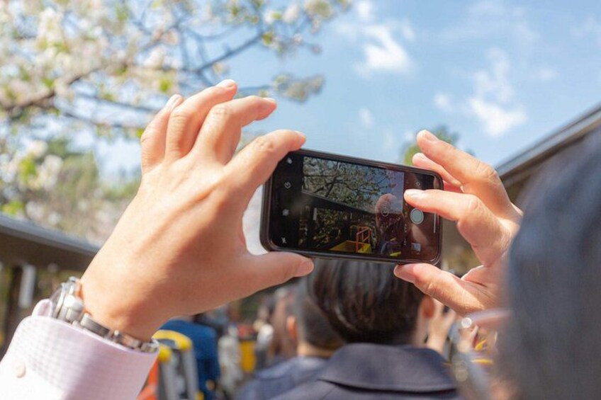 A person holding a smartphone, capturing a scene with trees and a building in the background. 2