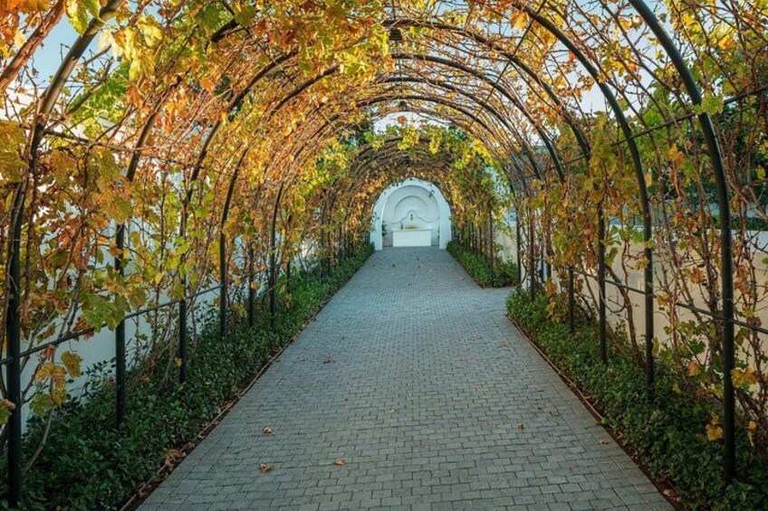 Paarl Franschhoek and Stellenbosch Wine Tasting Tour Full Day 5