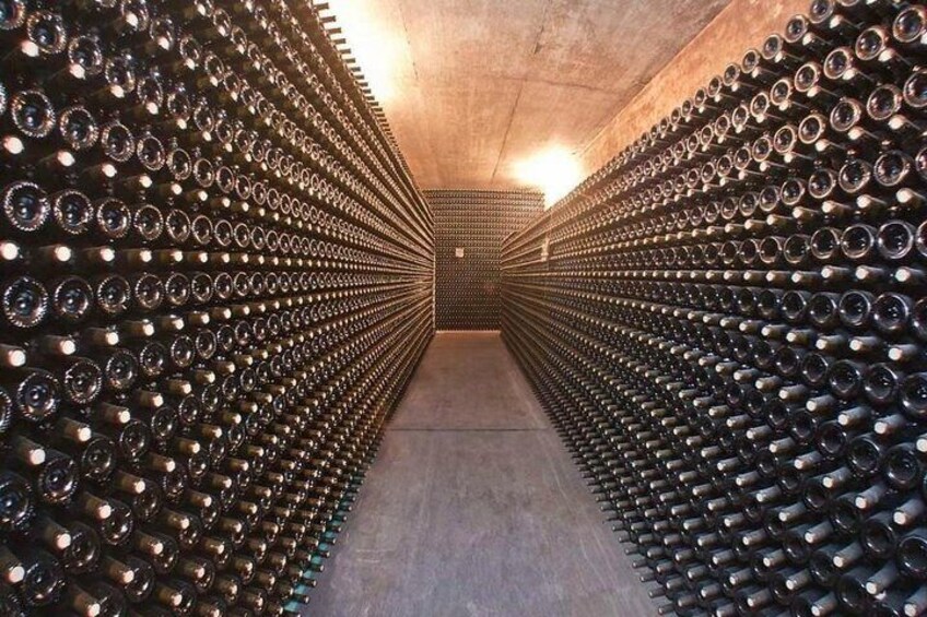 Paarl Franschhoek and Stellenbosch Wine Tasting Tour Full Day 4