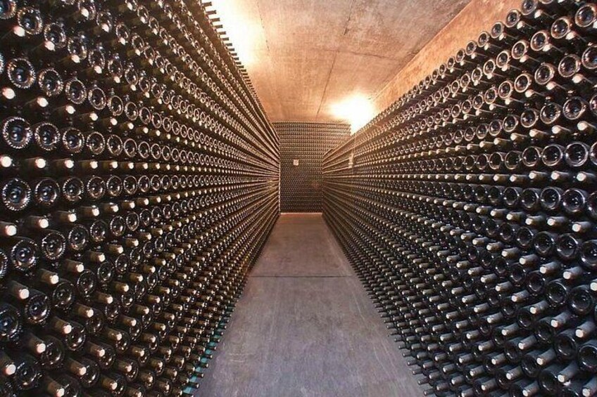 Paarl Franschhoek and Stellenbosch Wine Tasting Tour Full Day 4