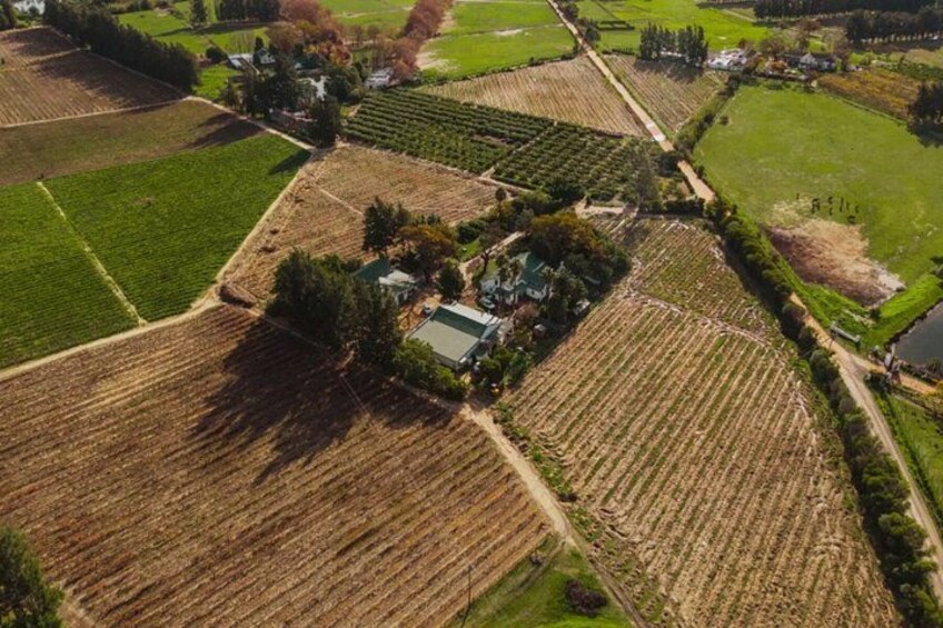 Paarl Franschhoek and Stellenbosch Wine Tasting Tour Full Day 3
