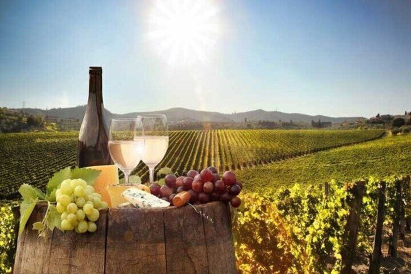 Paarl Franschhoek and Stellenbosch Wine Tasting Tour Full Day 1