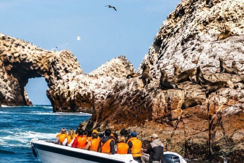 Tour to Paracas Huacachina and Picnic at Sunset with Pickup Hotel 4