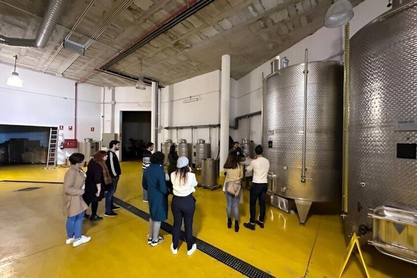 Private Ronda Wine Tasting & Tapas Day Trip from Marbella 2