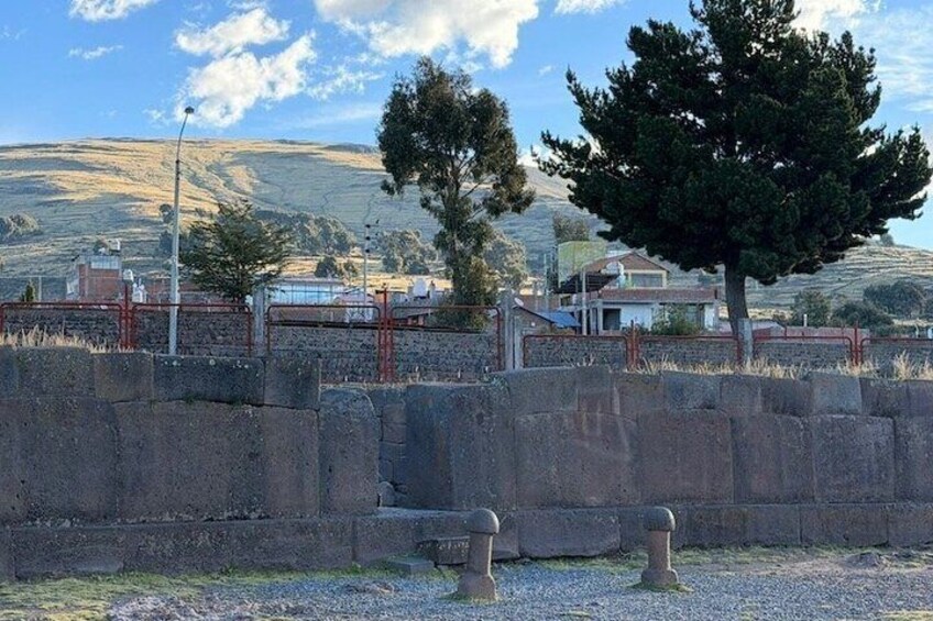 A stone wall, a tree, and buildings in the background. 2