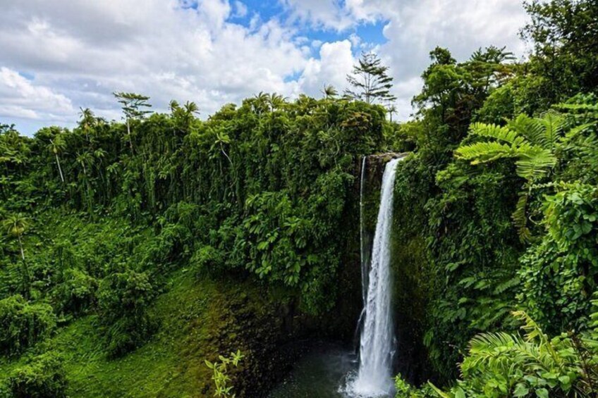 Samoa Waterfalls and Pools Tour with Transport 5