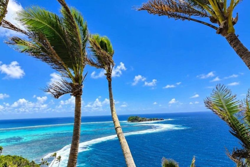 A tropical beach with palm trees and turquoise ocean waves. 4