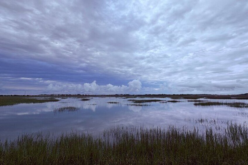 A wetland landscape with a reflective water surface, overcast sky, and tall grasses. 2